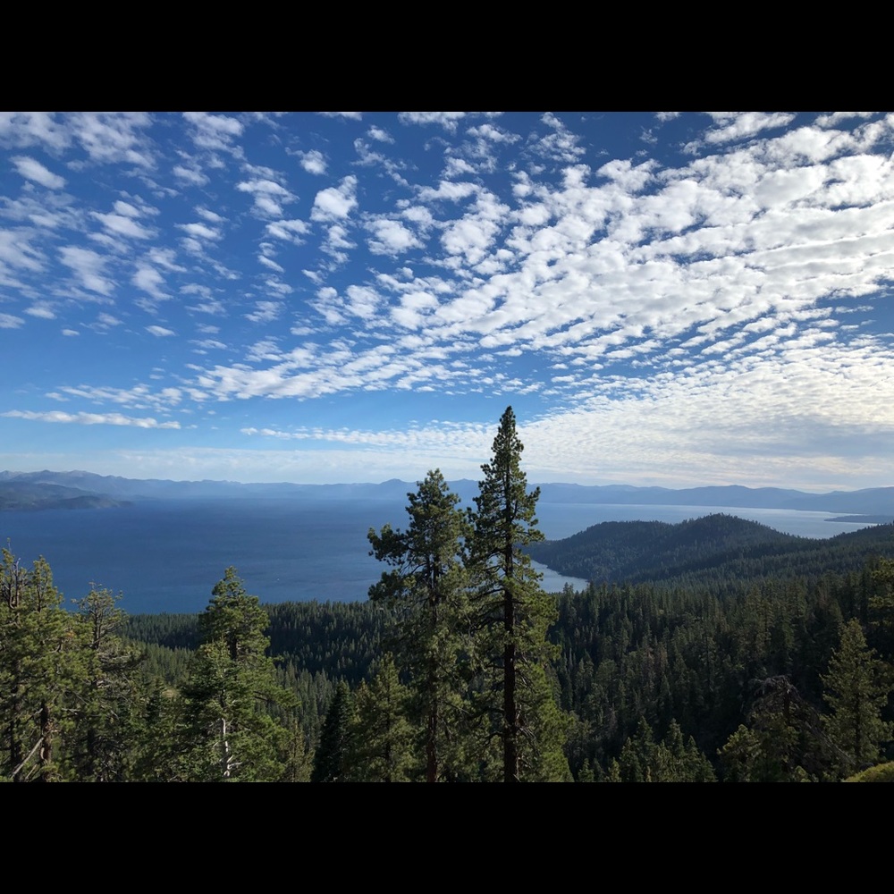 Meet your Posher, Christy